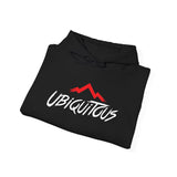 Ubiquitous Mountain Logo Hoodie — Casual Outdoor Streetwear